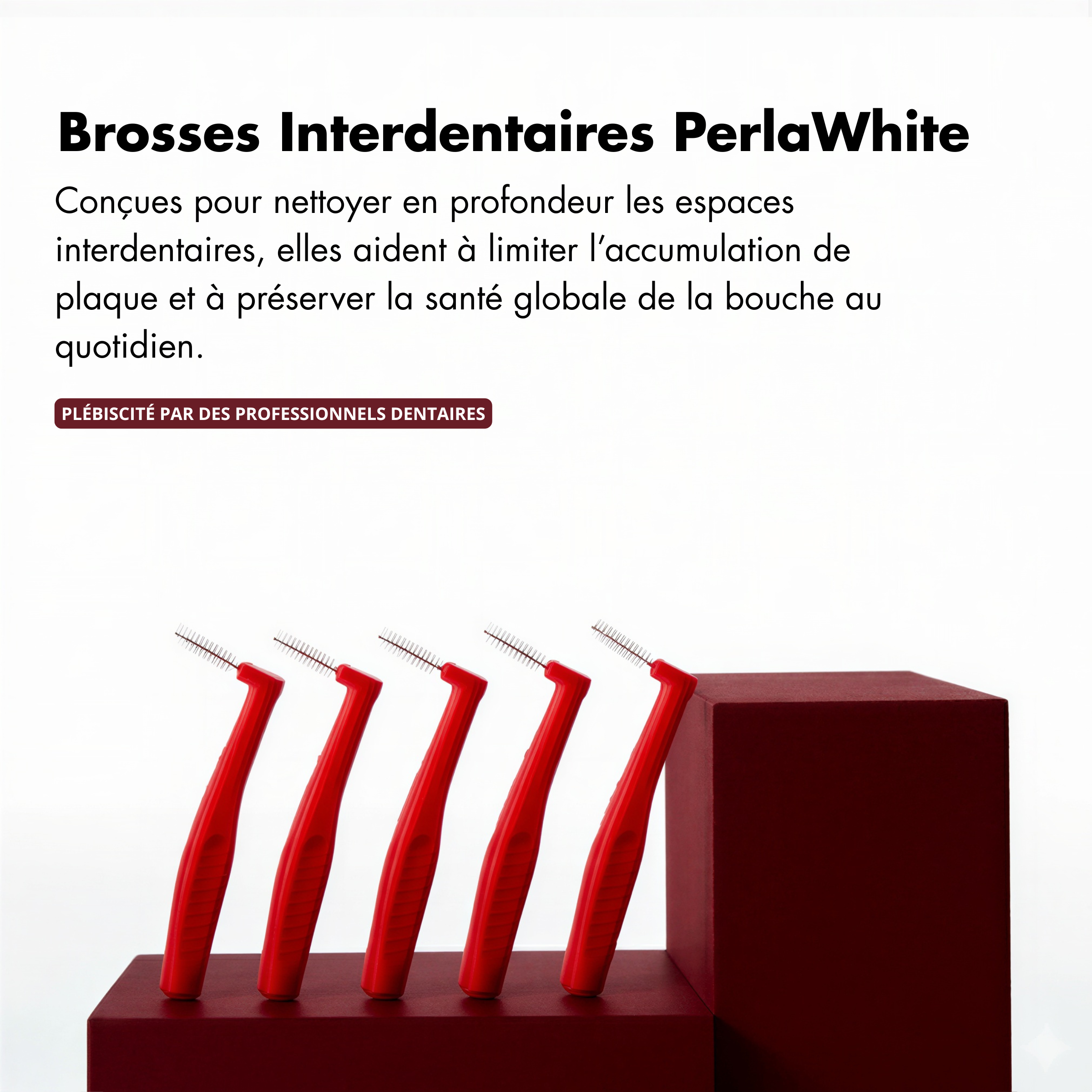Kit Soin & Blancheur 7-en-1 au Siwak