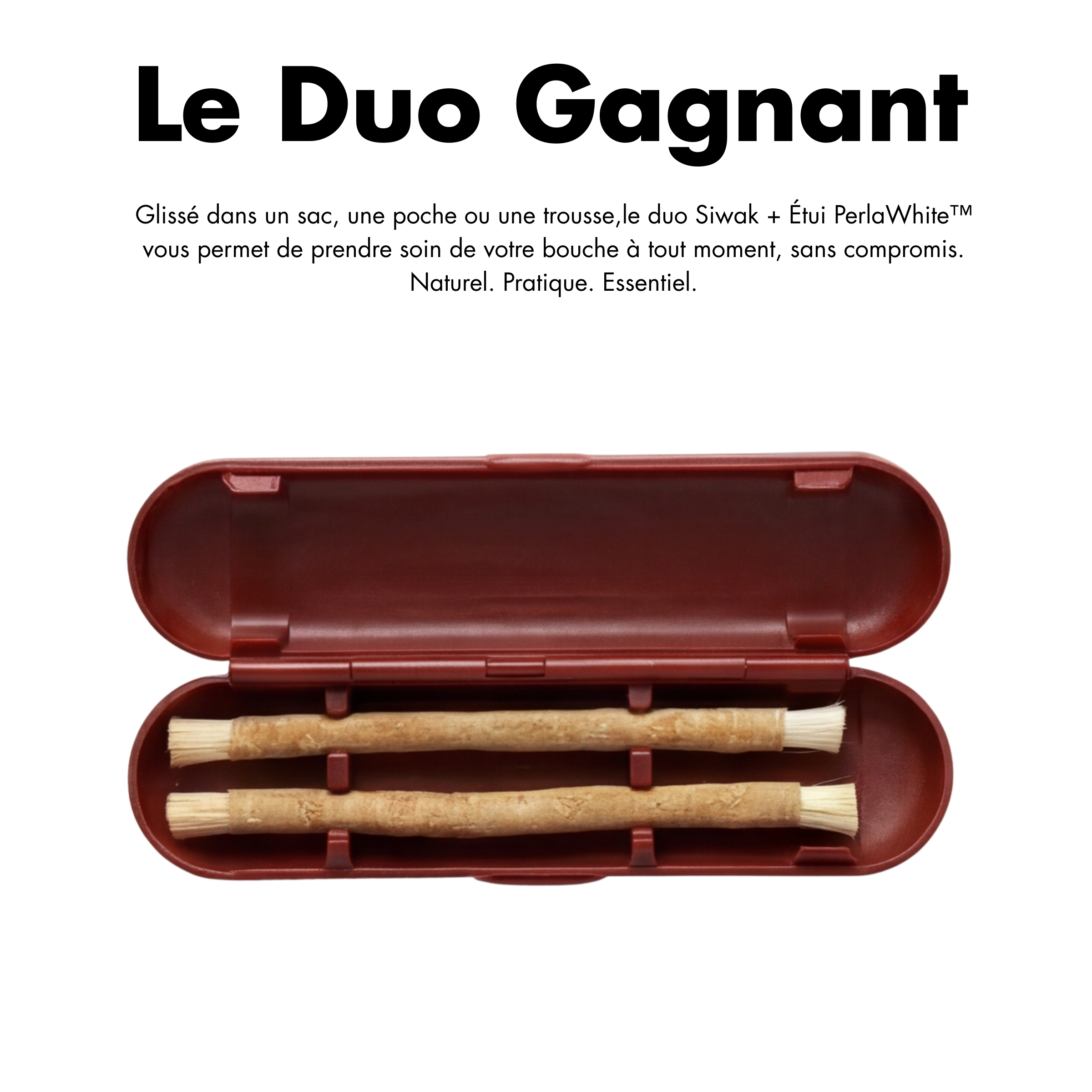 Étui Protecteur pour Siwak