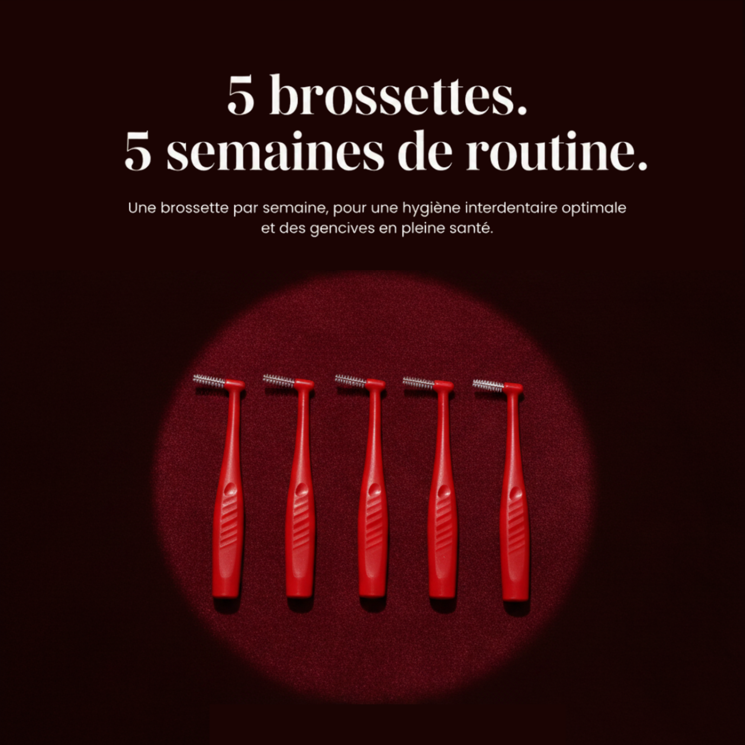 Brossettes interdentaires