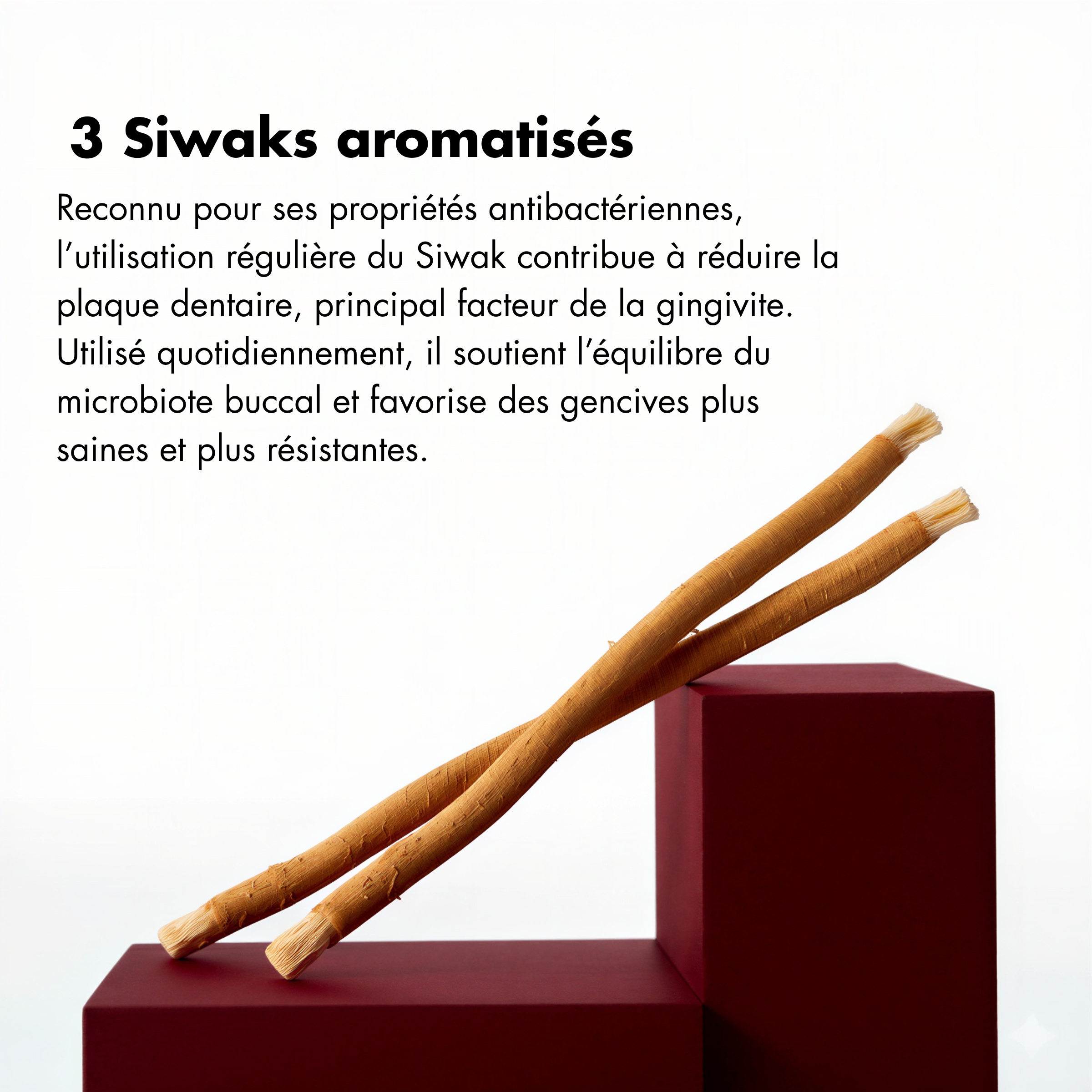 Lot de 3 Siwaks aromatisés