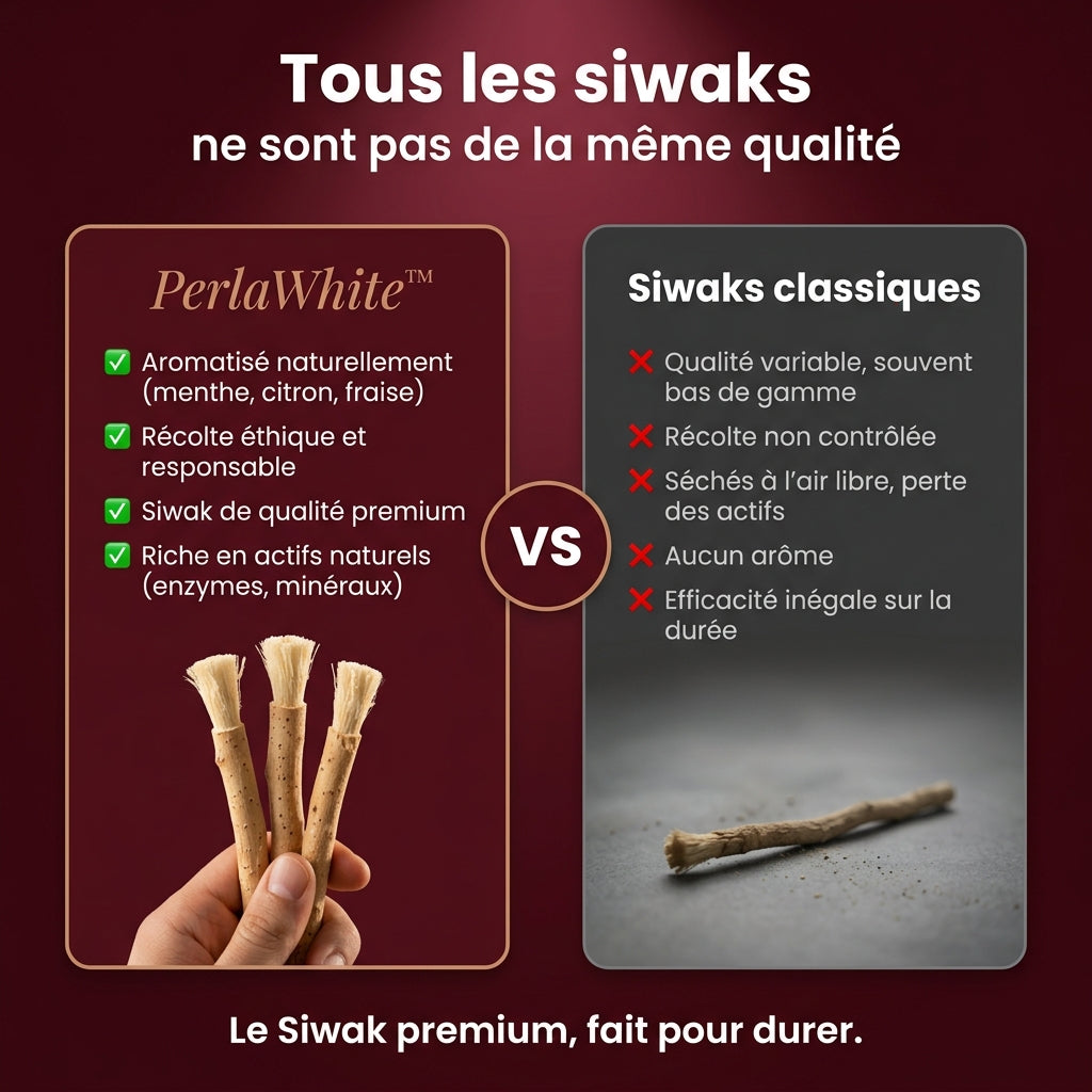 Lot de 3 Siwaks aromatisés