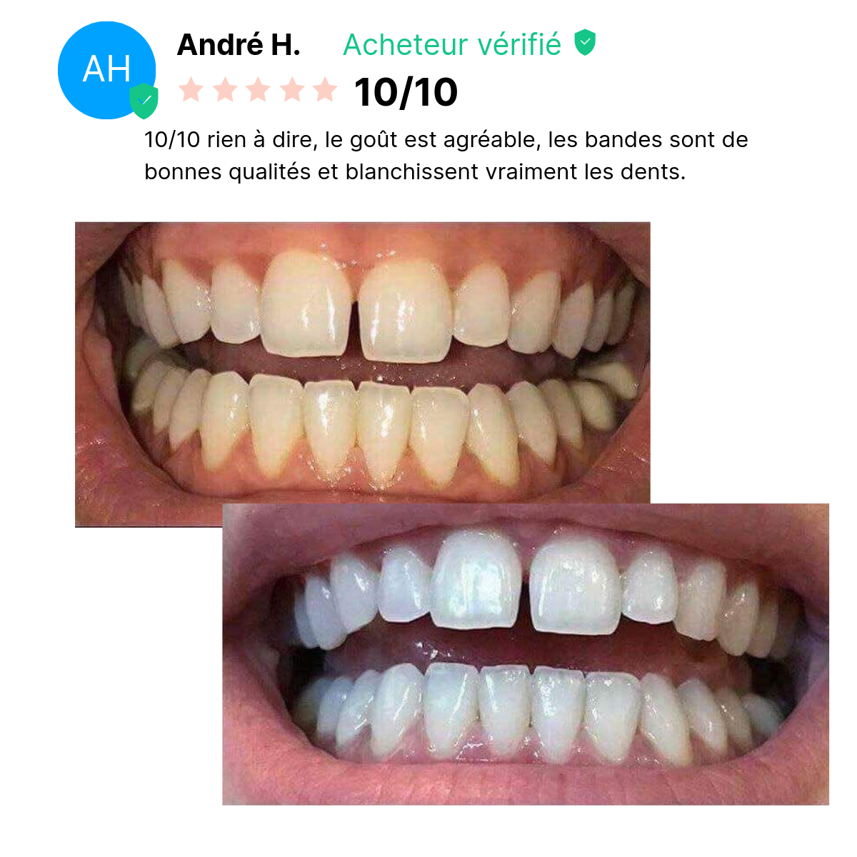 Bandes Dentaires Bio-Actives au Siwak