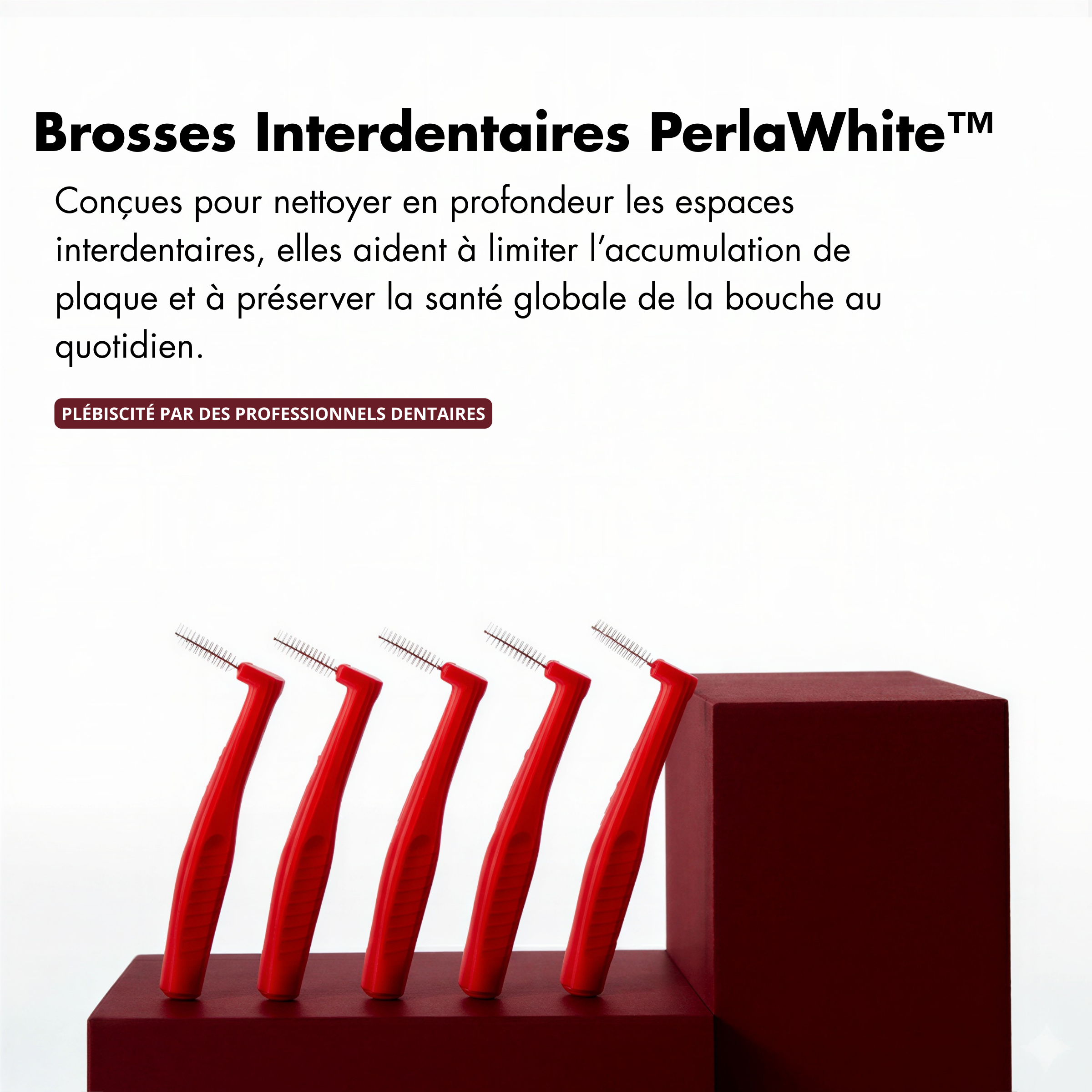Brossettes interdentaires