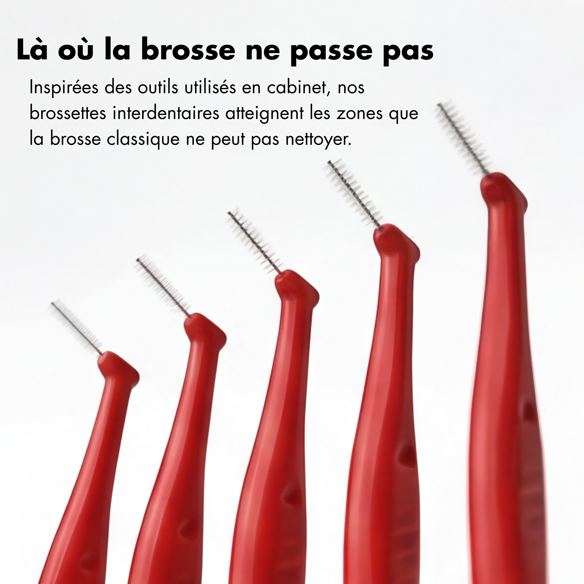 Brossettes interdentaires