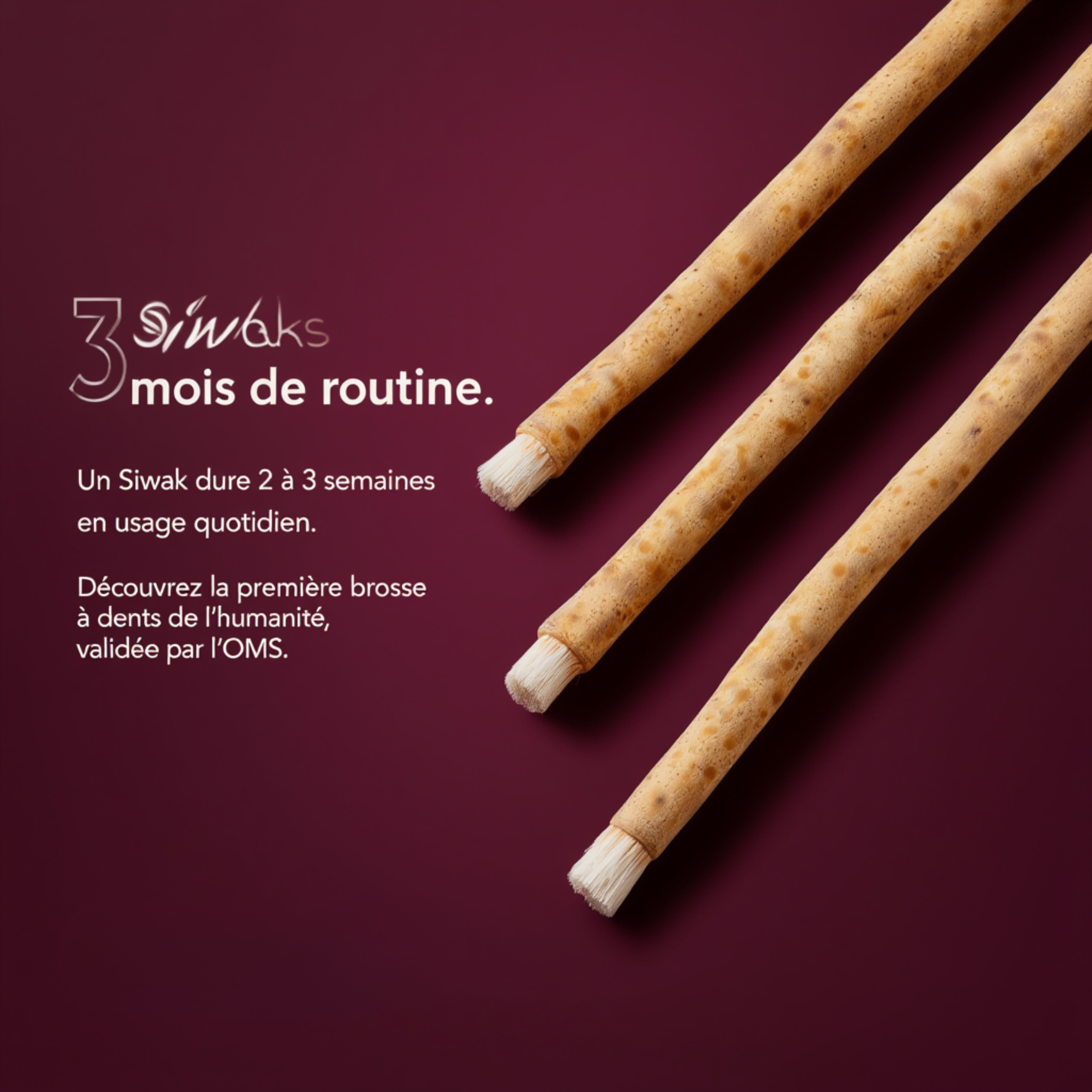 Lot de 3 Siwaks aromatisés