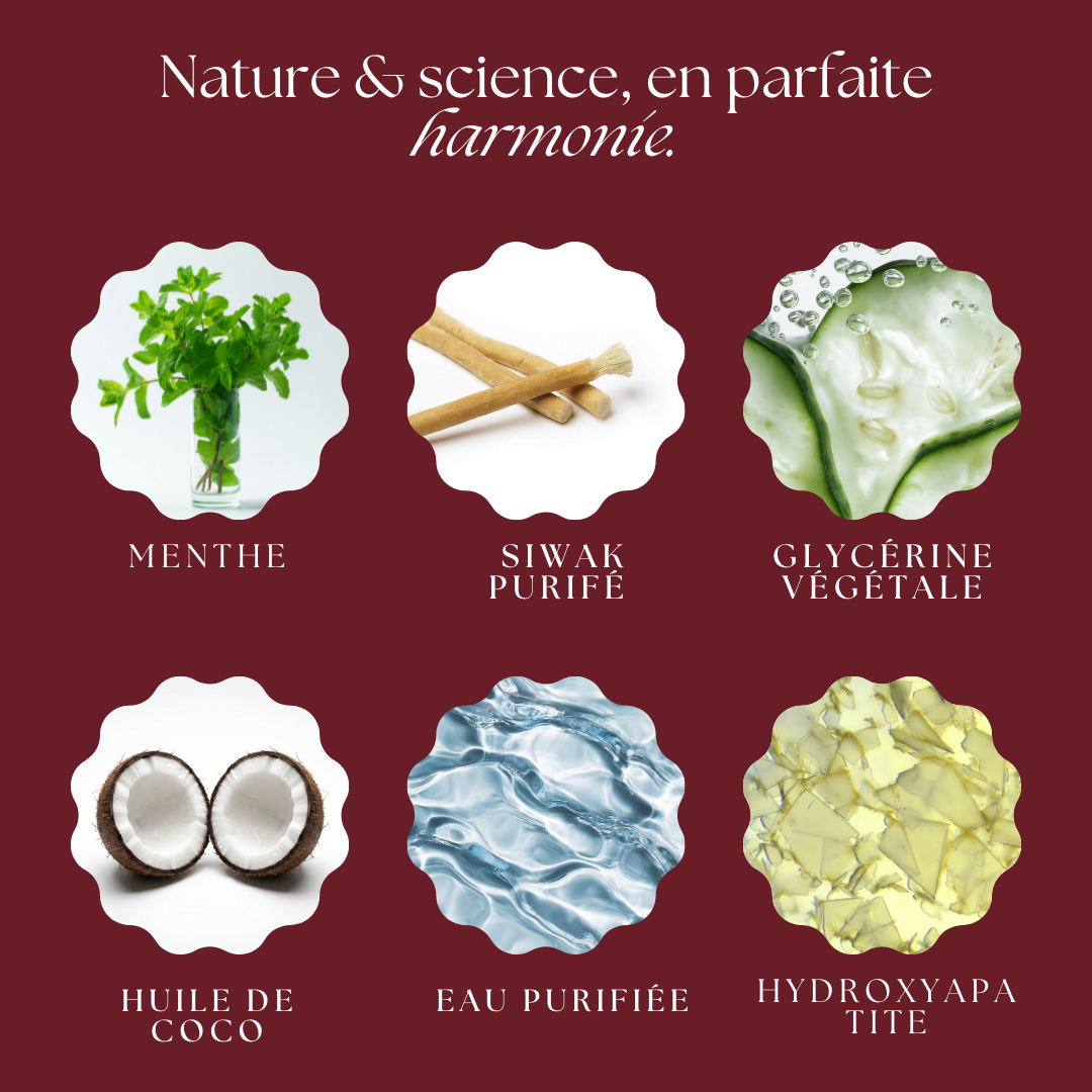 Bandes Dentaires Bio-Actives au Siwak