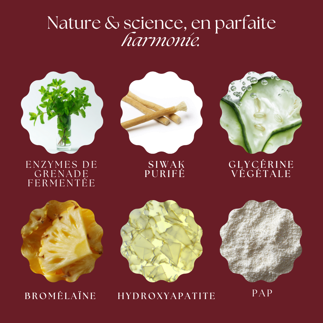 Kit Soin & Blancheur 7-en-1 au Siwak