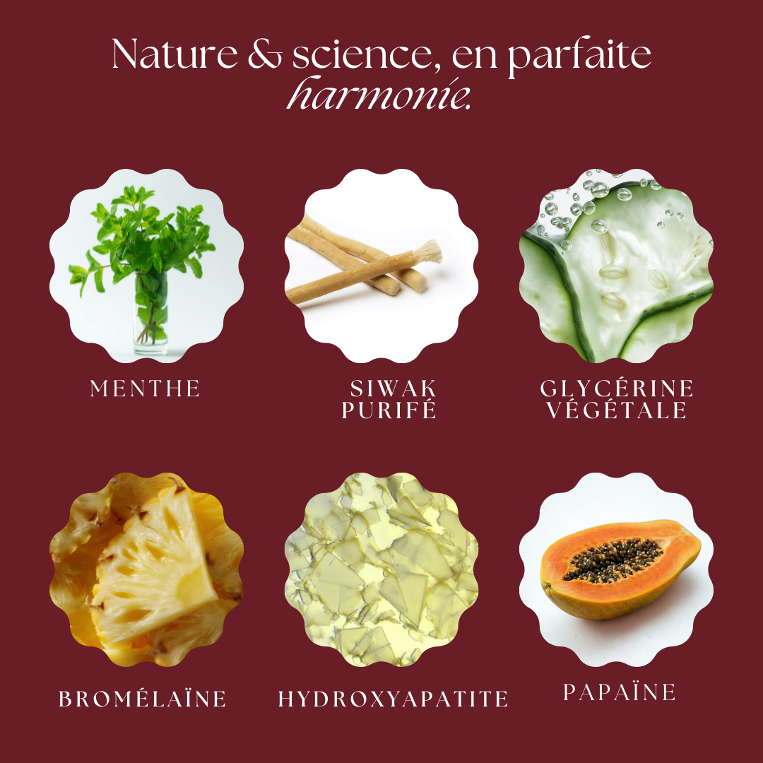 Dentifrice Protecteur au Siwak