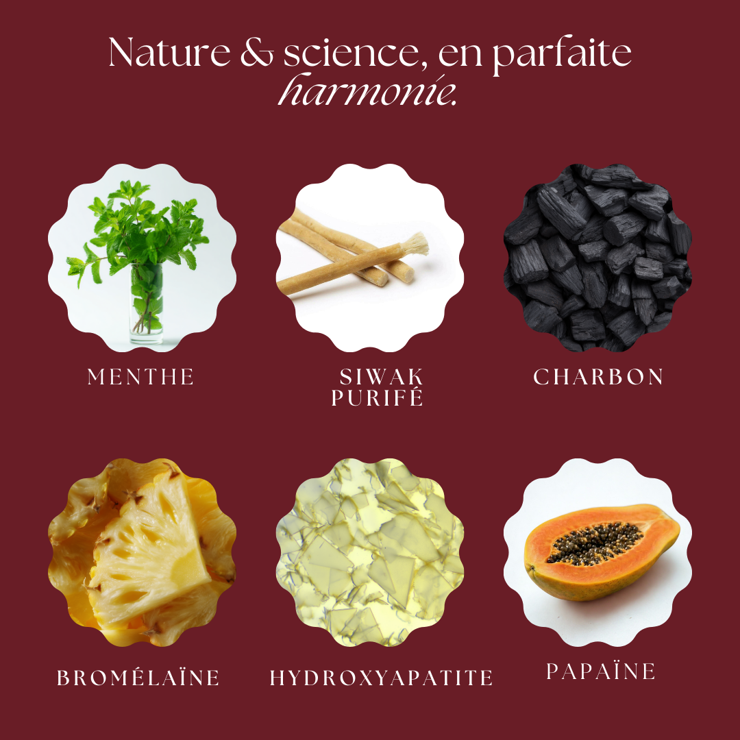 Poudre blancheur au Siwak & charbon