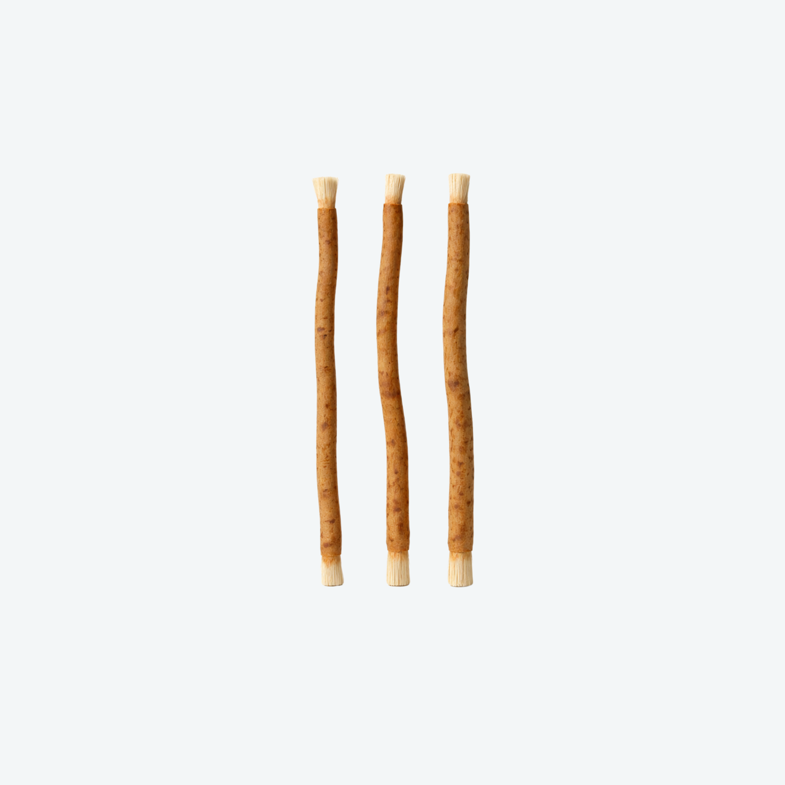 Lot de 3 Siwak aromatisé