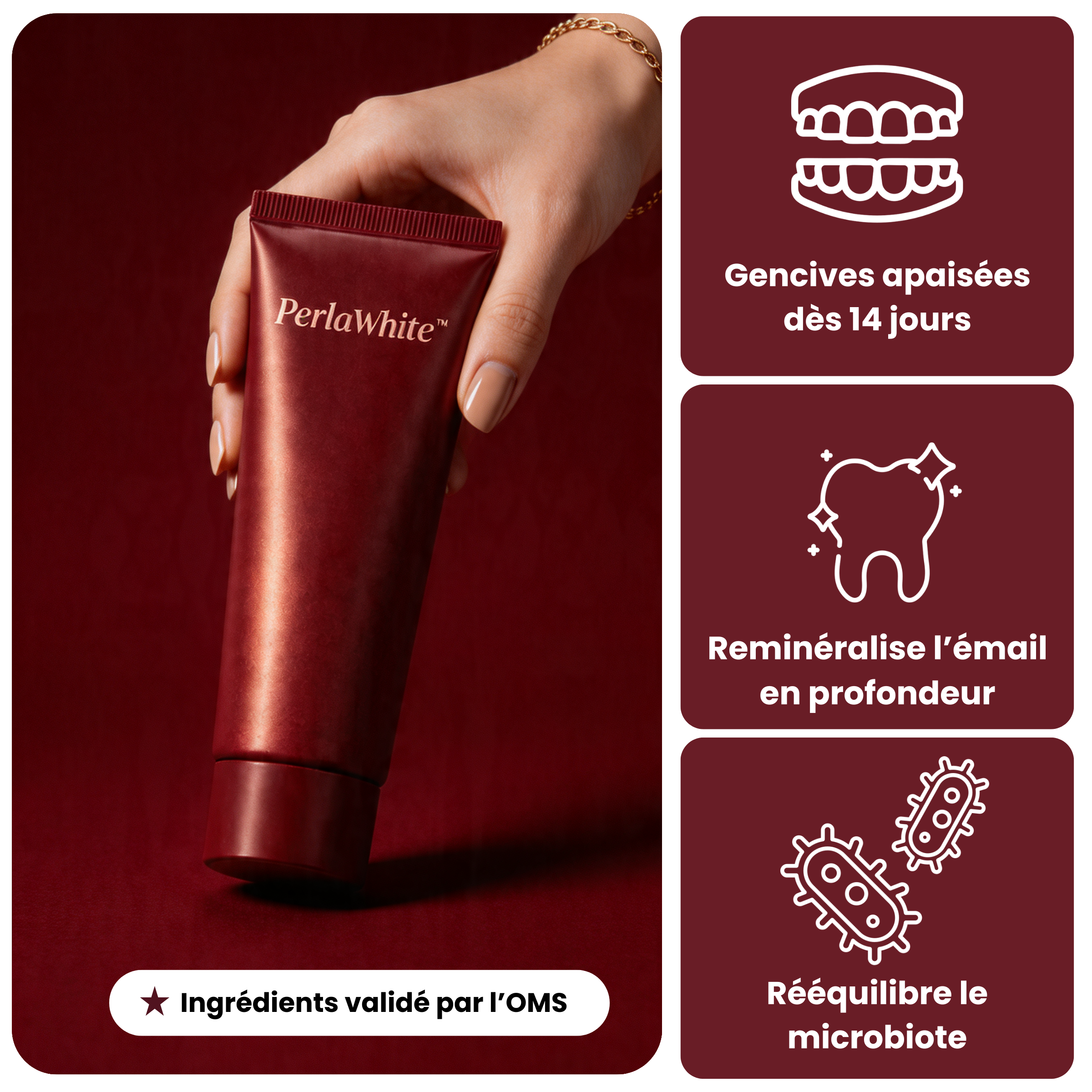 Dentifrice Protecteur au Siwak