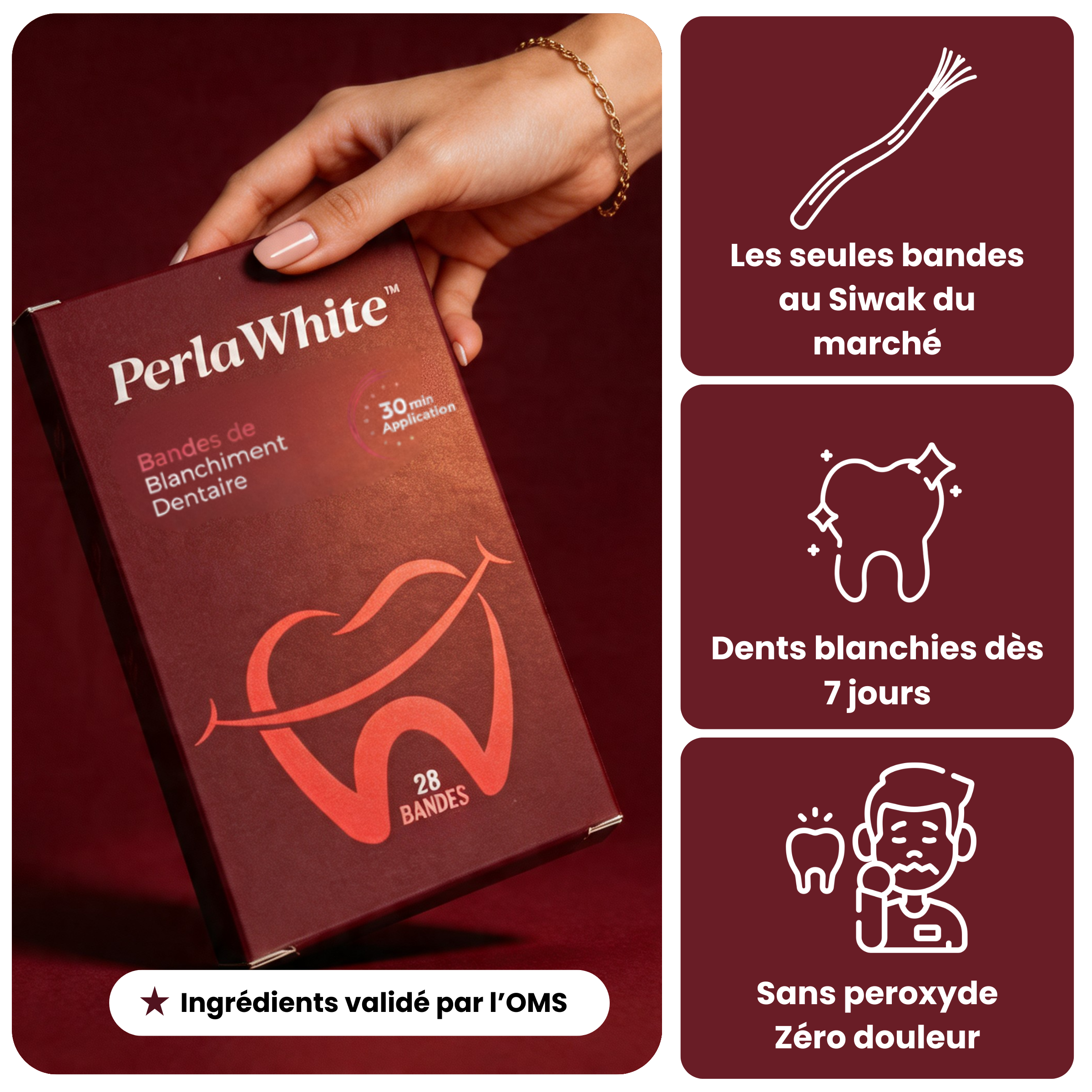 Bandes Dentaires Bio-Actives au Siwak