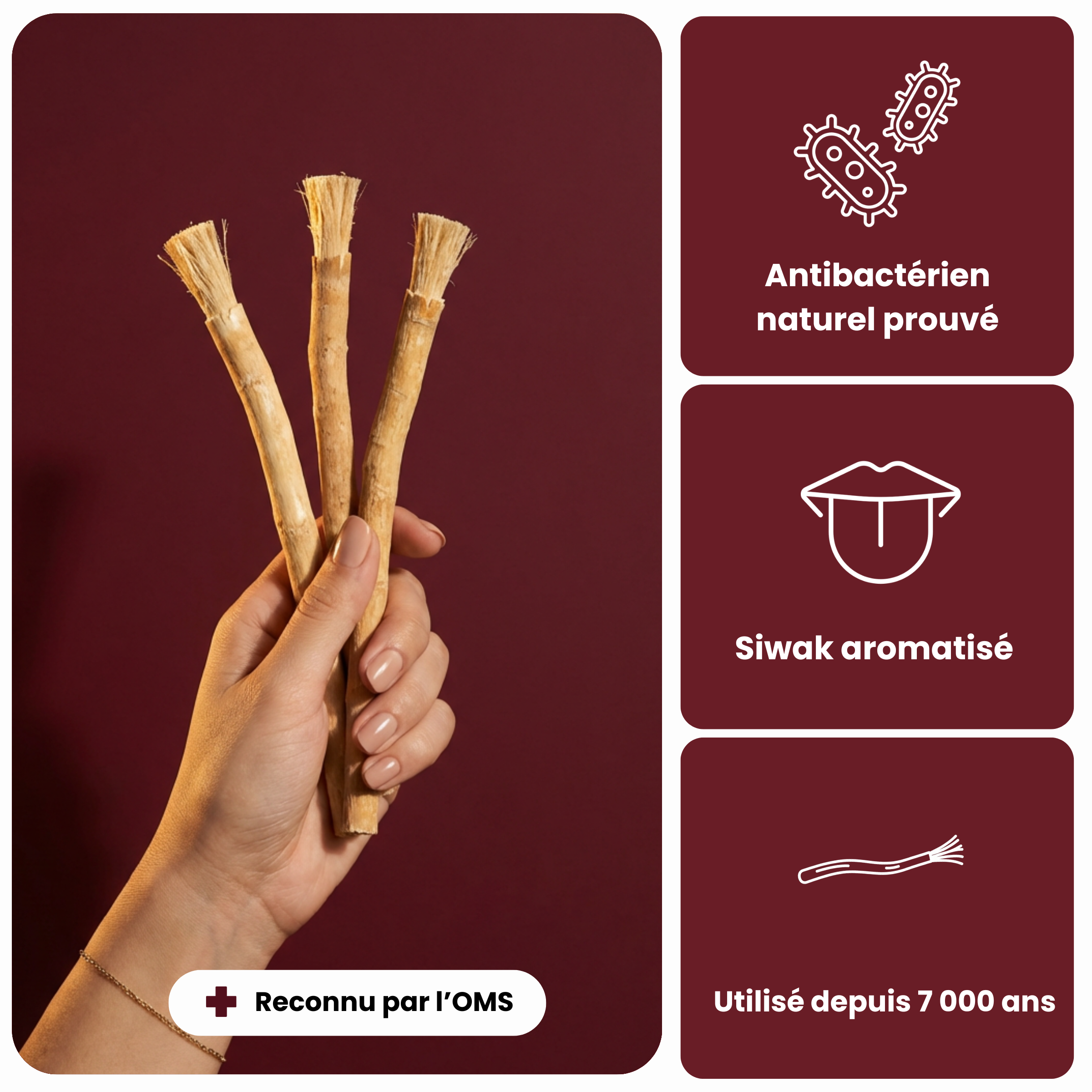 Lot de 3 Siwaks aromatisés